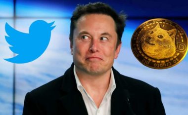 Pasi Twitter ndryshoi logon nga një zog në një qen, rritet çmimi i Dogecoin