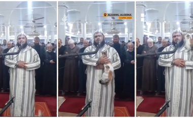 Imami i xhamisë në Algjeri po falej kur një mace i hipi në gjoks, ai për asnjë moment nuk i ndali lutjet – përkundrazi ledhatoi kafshën
