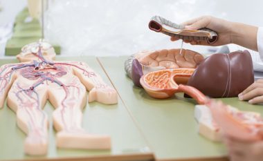 Shtatë organet e trupit pa të cilat mund të jetojmë
