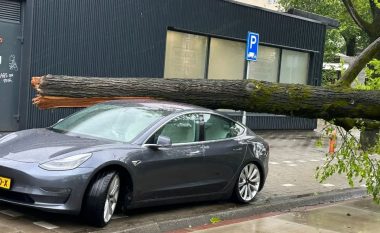 Të gjithë çuditen se si Tesla mbeti e paprekur nga rënia e një peme në Holandë