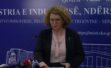 Pas arrestimeve të sotme ministrja Hajdari thërret konferencë për media