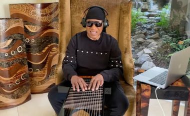 Instrumenti bizar që u popullarizua nga Stevie Wonder