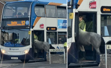 Kali përpiqet të hipë në autobus në Britani