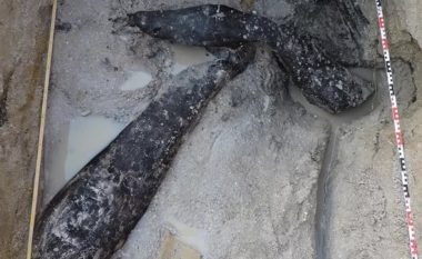 Gjendet një strukturë prej druri gjysmë milion vjeçare në Zambi