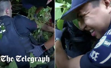 Grerëzat sulmojnë policinë gjatë një aksioni në Seattle