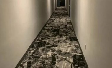 Keni nivel të lartë inteligjence nëse arrini ta gjeni macen ne fotografi