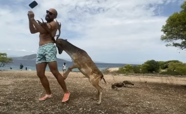 Turisti meksikan tentoi të bëjë ‘selfie’ me një dre por përfundoi me brinjë të thyera