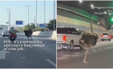 Një struc u pikas duke vrapuar në një autostradë të ngarkuar në Kinë