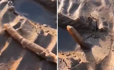 Si do të reagonit nëse kjo krijesë do të dilte nga rëra ndërsa ju po pushoni?