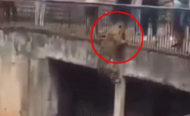 Vizitorët e një kopshti zoologjik në Brazil tmerrohen, jaguari ngjitet në mur dhe për pak sa nuk u afrohet