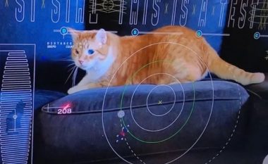 Një mace në hapësirë! NASA publikon pamje kilometra larg Tokës