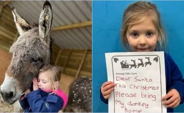 Pronarja e një gomari të vjedhur në Uells ka frikë se ai “mund të ngordh nga zemra e thyer”