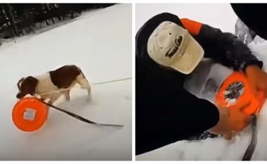 Një oficer policie punësoi qenin e një burri nga Michigani për ta shpëtuar nga një liqen i akullt