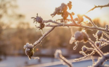 ​Moti këtë javë, rritje e lehtë e temperaturave