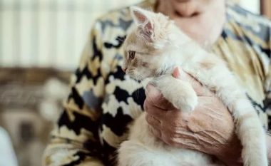 Gruaja do t’ua lë pasurinë milionëshe kafshëve të saj: Fëmijët nuk më qëndruan afër