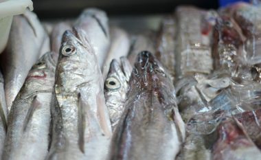 Bleu një peshk në treg, më pas gjeti një gjë të pabesueshme brenda tij: Askush nuk e kupton se si arriti atje