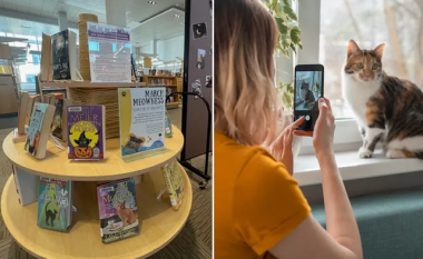 Ja në cilën bibliotekë në vend të pagesës për librin e humbur duhet ta dorëzoni një foto maceje