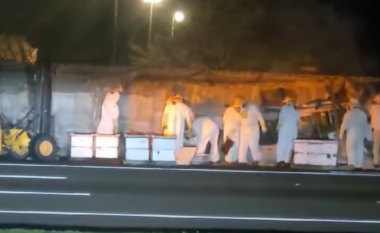 Kamioni përmbyset dhe lëshon mijëra bletë në një autostradë në SHBA