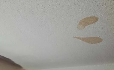 Një grua u tmerrua pasi zbuloi pse njollat kafe vazhdonin të shfaqeshin në tavanin e banesës së saj në Angli