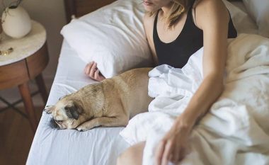 Veterinerët shpjegojnë pse nuk është e dëshirueshme të zgjoni qenin