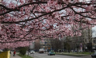 Mot i vranët dhe me diell, priten edhe riga shiu