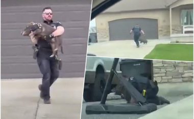 Videoja e policit nga Utah bëhet virale, filmohet duke ndjekur derrin e egër