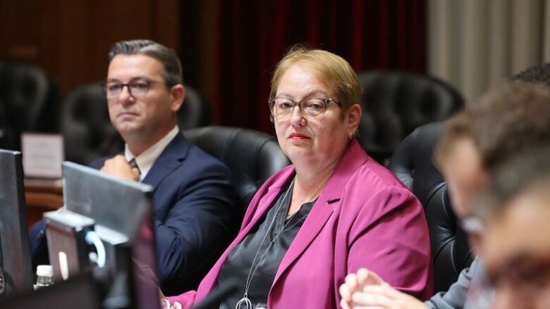 Janevska: Për një vit u zbatuan projekte në vlerë prej 67 milionë euro në sistemin arsimor