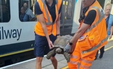 Breshka e arratisur shkaktoi një varg vonesash treni në disa linja në Angli