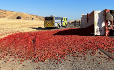 Kamioni përmbyset dhe mbulon autostradën e Kalifornisë me domate
