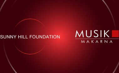 Talentët e ri të muzikës kosovare udhëtojnë në Suedi, falë fondacionit Sunny Hill