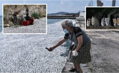 ‘Era është e padurueshme’ – përpjekje të mëdha për të larguar qindra mijëra peshq të ngordhur nga një pikë e njohur turistike në Greqi