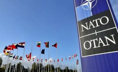 A e dini pse nën shkurtesën NATO shkruan edhe OTAN?