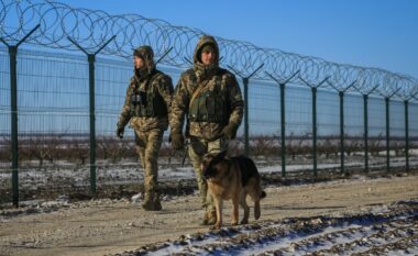 Gjermania thotë se Moldavia mund të jetë e radhës nëse Ukraina bie