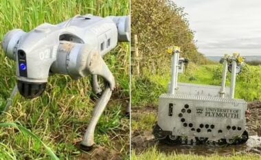 Britanikët krijojnë “robotin, si një qen delesh” – me një kamerë për të vëzhguar zonën ku veprojnë fermerët