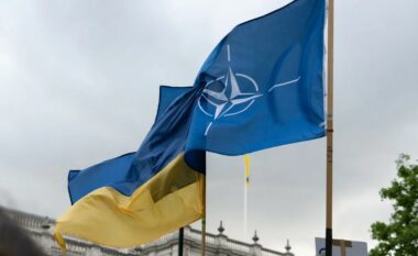 Shtatëdhjetë për qind e ukrainasve mbështesin modelin e Gjermanisë Perëndimore për anëtarësimin në NATO
