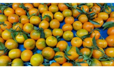 Dalin analizat për mandarinat e importuara nga Shqipëria