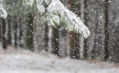Meteorologu Rugova: Na pret mot befasues, priten reshje bore