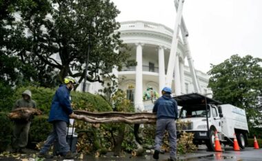 Trump mbjell ‘MAGAnolia’ në oborrin e Shtëpisë së Bardhë, për të zëvendësuar pemën 200-vjeçare