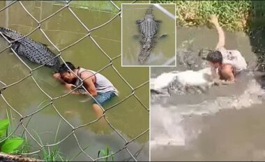 U fut në ujë për të bërë selfie me krokodilin, reptili e kafshon në pjesë të ndryshme vizitorin në një kopsht zoologjik në Filipine
