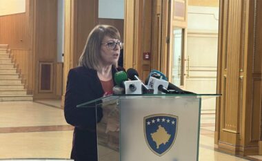 LDK paralajmëron kallëzim penal ndaj Kurtit dhe anëtarëve të Qeverisë