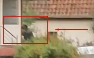 Publikohet momenti i gjuajtjes me breshëri plumbash ndaj terroristëve serbë në Banjskë