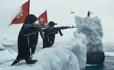 Video qesharake e krijuar nga AI – pinguinët po përgatiten t’i kundërpërgjigjen Trumpit