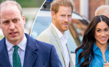 Princi William po planifikon t’ua heqë titujt mbretërorë Harryt dhe Meghan Markle