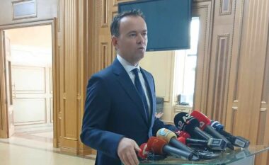 A ka përçarje mes LVV-së dhe partisë Guxo?- flet Faton Peci