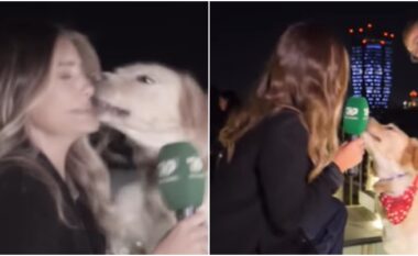 Qeni për pak sa nuk e kafshoi, Valbona Mhilli: Ky qenka më i fortë si Laerti