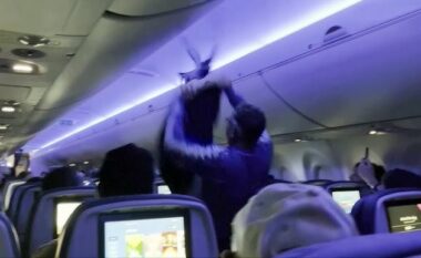 Pëllumbat brenda aeroplanit shkaktojnë vonesë në fluturim në SHBA, pasagjeri tenton t’i zë me xhaketë