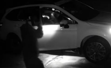 Pamje të pazakonta, ariu hap derën e veturës dhe futet brenda saj në kërkim të ushqimit