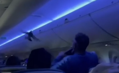 Dy pëllumba shtynë për një orë fluturimin e aeroplanit