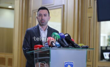 Basha: S’është përgjegjësi e jona t’ua plotësojmë dëshirat partive tjera, propozimi për kandidate na takon neve