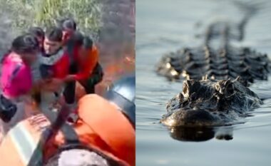 Aeroplani i tyre u rrëzua në mes të një moçali në Amazonë plot me aligatorë dhe anakonda – ata mbijetuan për 36 orë